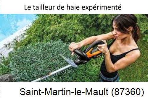 entretien jardin à Saint-Martin-le-Mault-87360