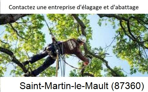 Travaux d'élagage à Saint-Martin-le-Mault-87360