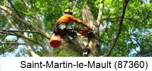 Entreprise du paysage Saint-Martin-le-Mault-87360