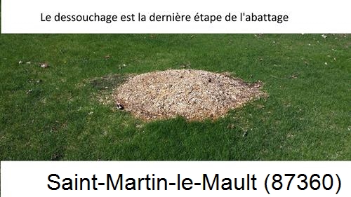 déssouchage d'arbres Saint-Martin-le-Mault-87360