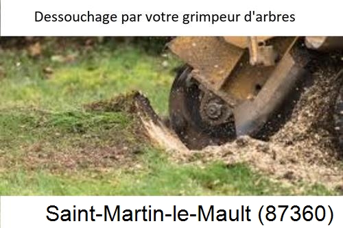abattage d'arbres à Saint-Martin-le-Mault-87360