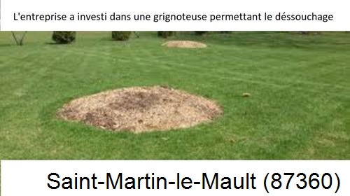 Artisan pour déssouchage d'arbres Saint-Martin-le-Mault-87360