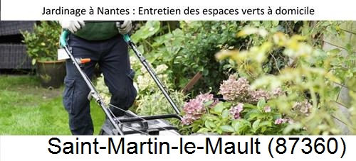 Travaux d'entretien exterieur Saint-Martin-le-Vieux-87700
