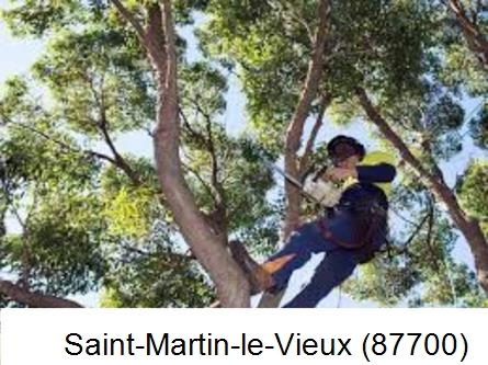 Elagueur à Saint-Martin-le-Vieux-87700