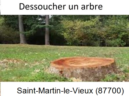 Travaux d'entretien extérieur Saint-Martin-le-Vieux-87700