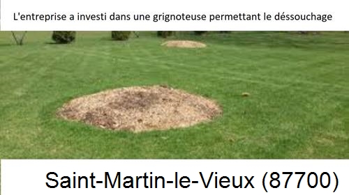 Artisan pour déssouchage d'arbres Saint-Martin-le-Vieux-87700