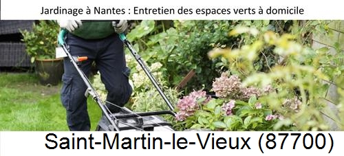 Travaux d'entretien exterieur Saint-Martin-Terressus-87400