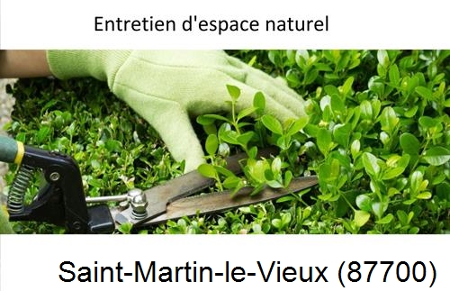 Rénovation jardin particulier Saint-Martin-Terressus-87400