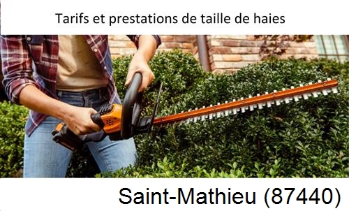taille de haies Saint-Mathieu-87440