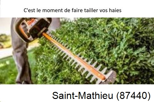 Entreprise de paysage Saint-Mathieu-87440