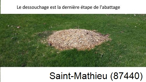 déssouchage d'arbres Saint-Mathieu-87440