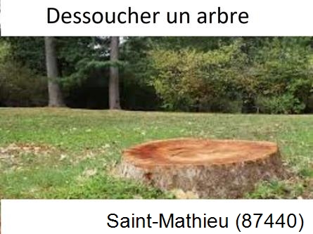 Travaux d'entretien extérieur Saint-Mathieu-87440