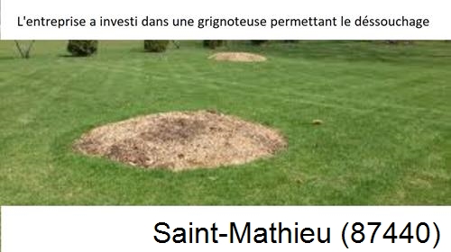 Artisan pour déssouchage d'arbres Saint-Mathieu-87440