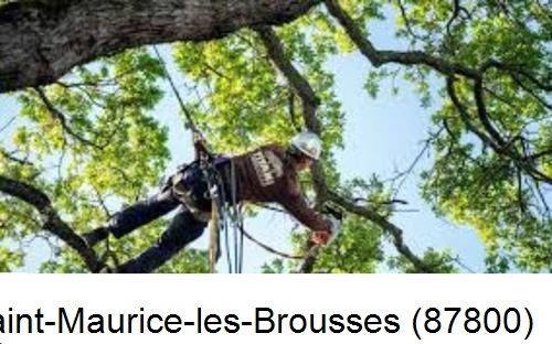 Abattage d'arbres chez un particulier Saint-Maurice-les-Brousses-87800