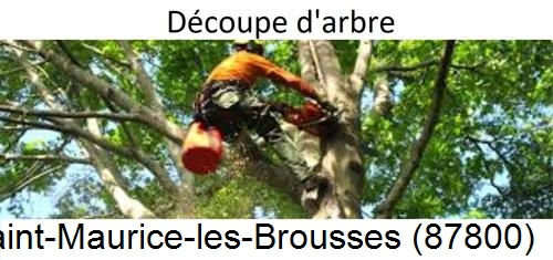 Entreprise du paysage Saint-Maurice-les-Brousses-87800