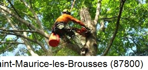Entreprise du paysage Saint-Maurice-les-Brousses-87800