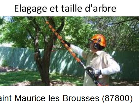 Elagage chez particulier Saint-Maurice-les-Brousses-87800