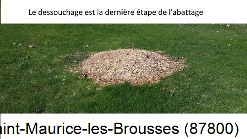 déssouchage d'arbres Saint-Maurice-les-Brousses-87800