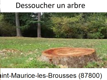 Travaux d'entretien extérieur Saint-Maurice-les-Brousses-87800