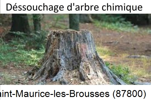 Elagueur déssouchage à Saint-Maurice-les-Brousses-87800