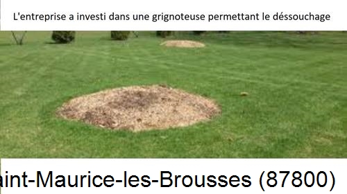 Artisan pour déssouchage d'arbres Saint-Maurice-les-Brousses-87800