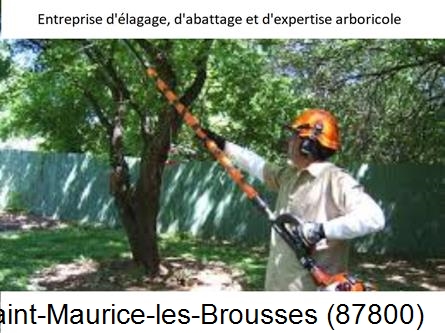 Coupe tête d'arbres Saint-Maurice-les-Brousses-87800