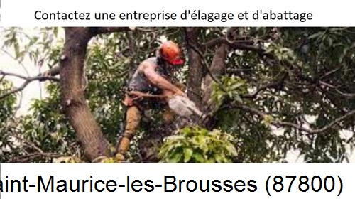 Entreprise d'élagage à Saint-Maurice-les-Brousses-87800