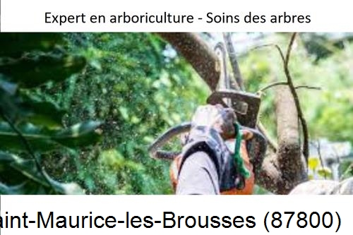 Elagage en sécurité à Saint-Maurice-les-Brousses-87800