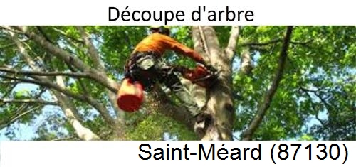 Entreprise du paysage Saint-Méard-87130