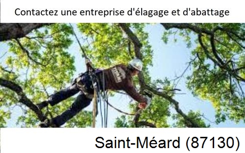Travaux d'élagage à Saint-Méard-87130
