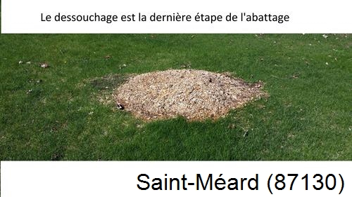 déssouchage d'arbres Saint-Méard-87130
