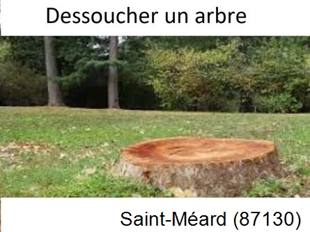 Travaux d'entretien extérieur Saint-Méard-87130