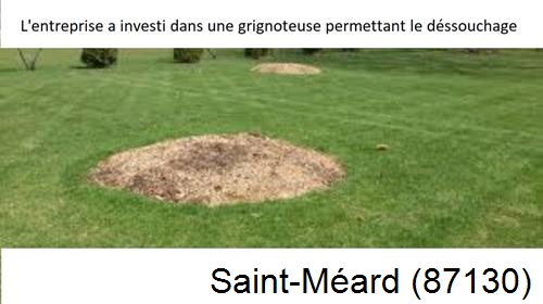 Artisan pour déssouchage d'arbres Saint-Méard-87130