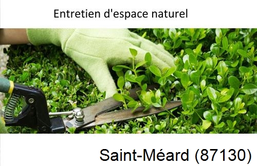 Rénovation jardin particulier Saint-Ouen-sur-Gartempe-87300