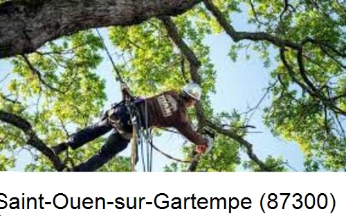 Abattage d'arbres chez un particulier Saint-Ouen-sur-Gartempe-87300
