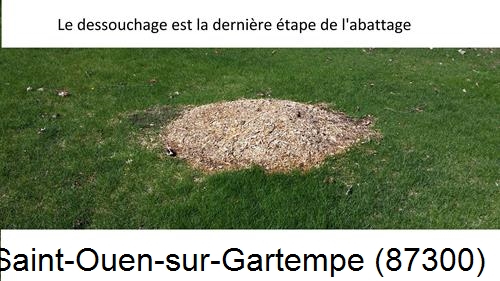 déssouchage d'arbres Saint-Ouen-sur-Gartempe-87300