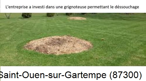 Artisan pour déssouchage d'arbres Saint-Ouen-sur-Gartempe-87300