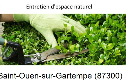 Rénovation jardin particulier Saint-Pardoux-le-Lac-87140
