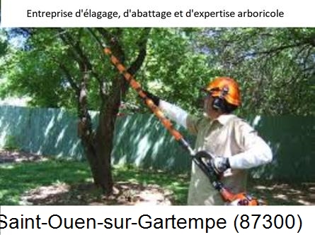 Coupe tête d'arbres Saint-Ouen-sur-Gartempe-87300