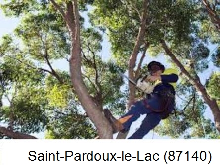Elagueur à Saint-Pardoux-le-Lac-87140