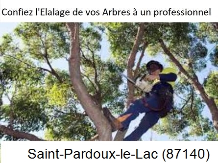 Société d'élagage à Saint-Pardoux-le-Lac-87140