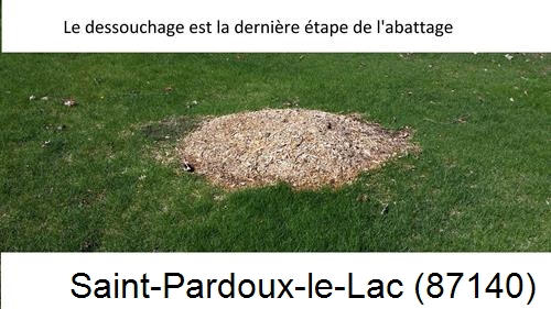 déssouchage d'arbres Saint-Pardoux-le-Lac-87140