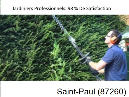 Paysagiste Saint-Paul-87260