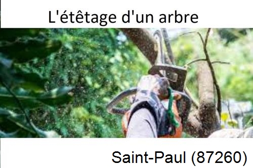Artisan Abatteur d'arbres Saint-Paul-87260