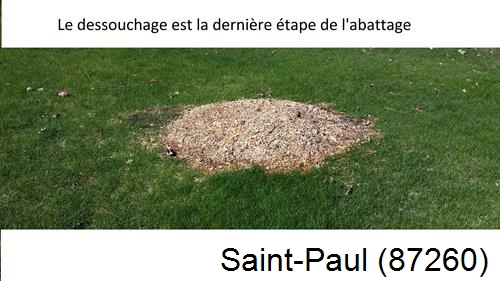 déssouchage d'arbres Saint-Paul-87260
