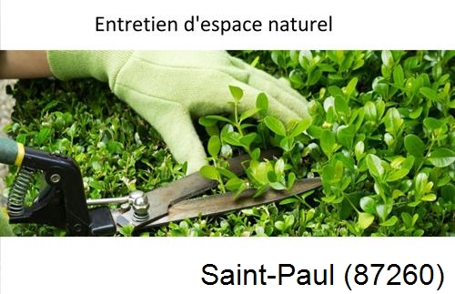Rénovation jardin particulier Saint-Priest-Ligoure-87800