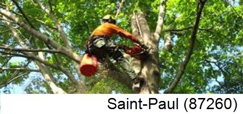 Déssouchage, étêtage d'arbres Saint-Paul-87260
