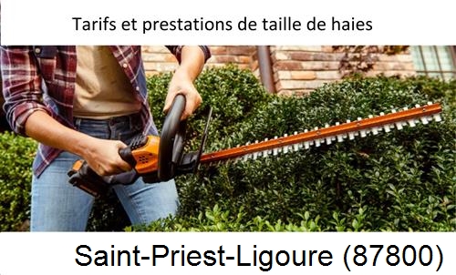 taille de haies Saint-Priest-Ligoure-87800