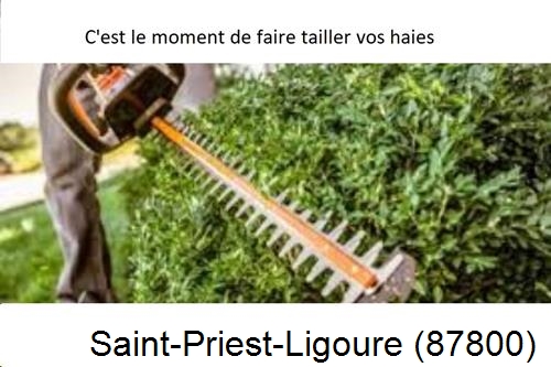 Entreprise de paysage Saint-Priest-Ligoure-87800