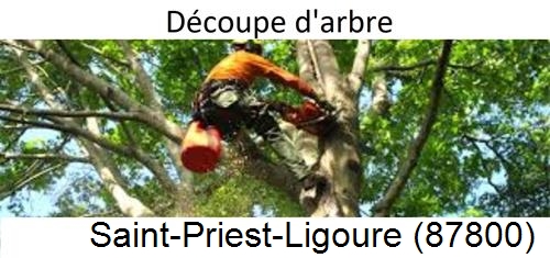 Entreprise du paysage Saint-Priest-Ligoure-87800